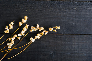 dried lily of the valley flowers on black wood table background