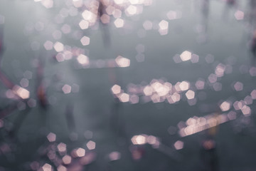 abstract background with bokeh