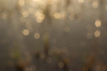Fototapeta premium abstract background with bokeh