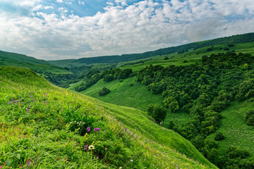 Bright mountain landscape. Panoramic view of the grassy highlands on a Sunny summer day. Caucasian mountains.