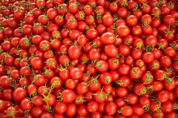 Close up of group of fresh red tomatoes at a farmers market. Healthy food. Organic background.