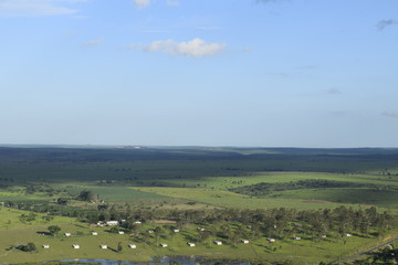 Fototapeta na wymiar Horizonte plano de campo verde, paisagem rural 