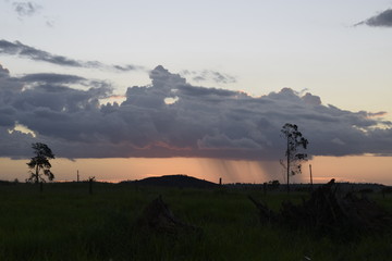 Nuvem cumulus em pôr-do-sol, horizonte plano, paisagem rural