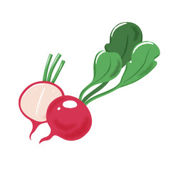 Composition of garden radish with green leaves