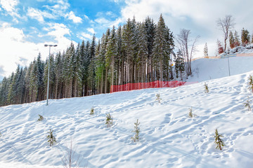 Fototapeta na wymiar snowy hill with fir trees