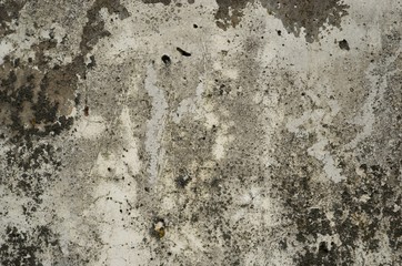 A texture of wall. Distressed background.