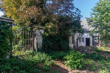 verwachsener garten