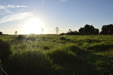 Fototapeta premium Horizonte plano ensolarado, gramado verde, paisagem rural, céu azul 