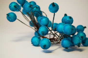 Branch of blue berries in hoarfrost on a white background. Texture. Background. Winter.
