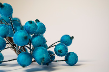 Branch of blue berries in hoarfrost on a white background. Texture. Background. Winter.