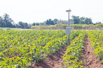 agriculture and Internet of things , smart farmer