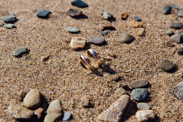 Two wedding rings in the sand on the beach
