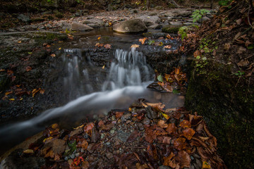 Fototapeta na wymiar Beautiful falls in the forest