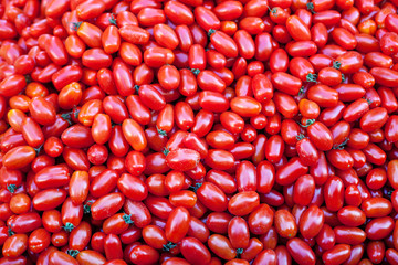 a lot of small tomatoes datterini, background, texture