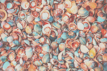 Natural abstract vintage colorful shells background
