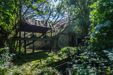 Fototapete bei efototapeten.de bestellen   