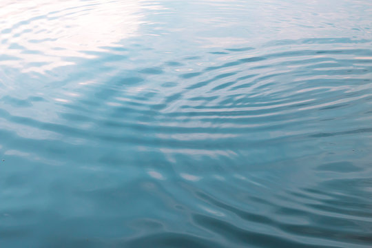 Golden light reflected on the surface of the evening water.