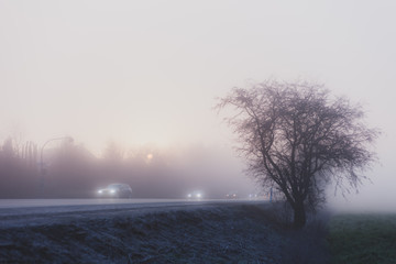 Car traffic in fog with the rising sun