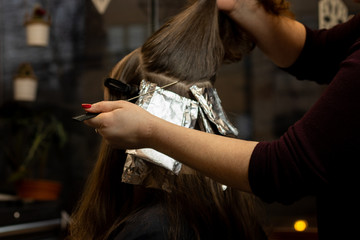 Hair stylist applying hair color on young brunette woman 