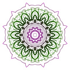 Modern Decorative Cicle Shapes. Floral mandala. vector illustration
