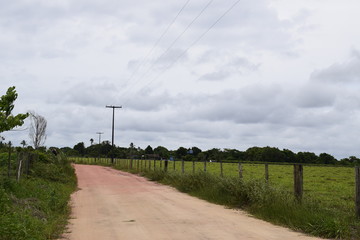 Estrada de terra em paisagem rural	