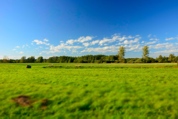 Green big meadow, forest and clouds on blue sky - blur and contrasting colors