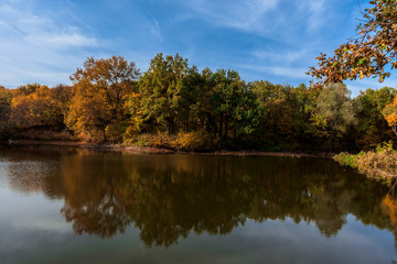 Fototapeta na wymiar lake with autumn trees on the shore. the mirror surface of the lake. autumn composition.