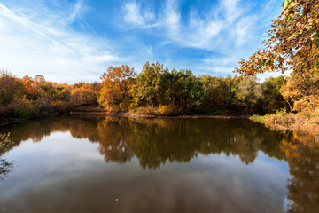 lake with trees on the shore. the mirror surface of the lake. autumn composition.