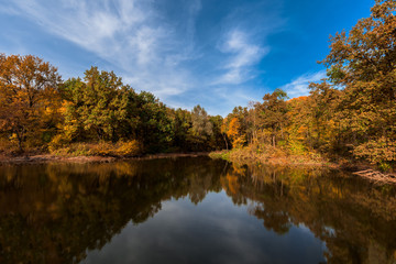 Fototapeta na wymiar autumn. lake with a mirror surface and yellow trees on the shore.