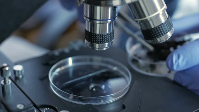 Scientist in a laboratory analyzes the soil inside to collect the DNA. Senior male researcher carrying out scientific research in a lab. analysis, dna, bio, microbiology, augmented reality