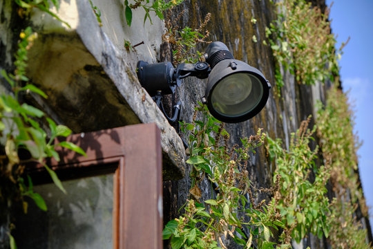 Fototapeta An outdoors light facing down on mossy wall with plant. 