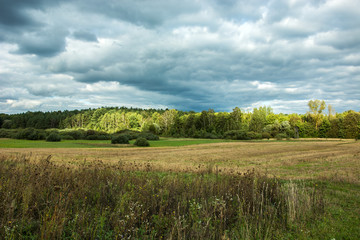 Meadow and forest backlit by the sun and cloudy sky