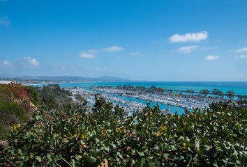 View of beautiful marina from above. There are bushes in the foreground - obrazy, fototapety, plakaty