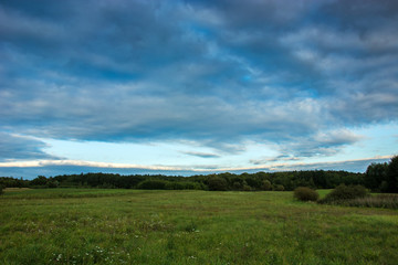 Huge green meadow, forest and clouds