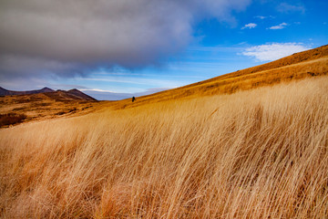 Fototapeta premium Landscape of autumnal peaks of the Carpathians.