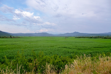 Fototapeta premium Grasebene