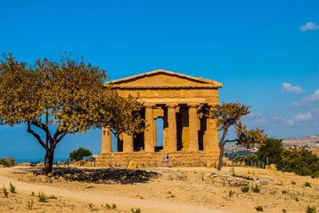 Fototapeta na wymiar Valle dei Templi - Agrigento