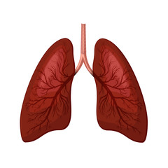 Lungs icon illustration