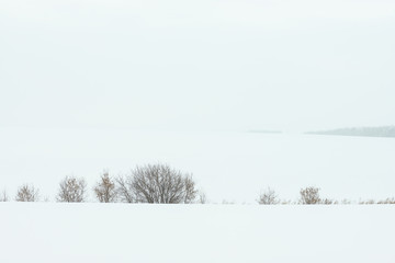 picturesque view of snow-covered field with trees at winter day  