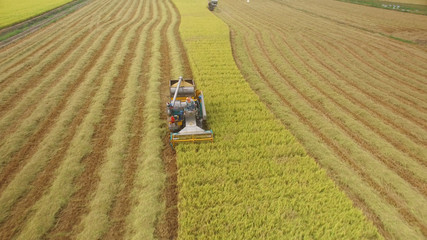 Aerial view of combine on harvest field