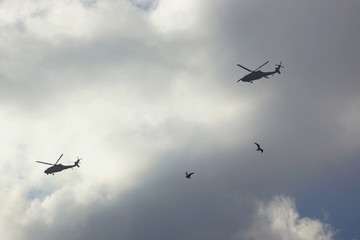 Zwei Hubschrauber und zwei Möwen, die zusammen fliegen