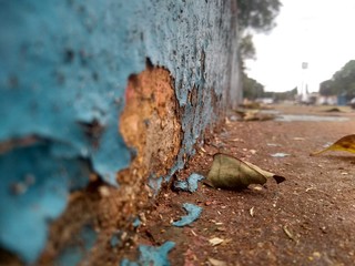 Obraz premium imagjeff