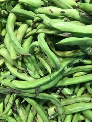 fresh green fava beans