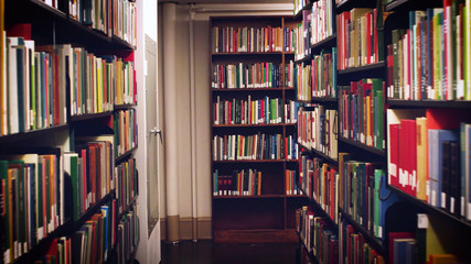 Books on bookshelves in the public library room background. School book in bookshelf beautiful concept.