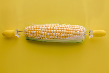 Yellow sweet corn with corn holder on background table top
