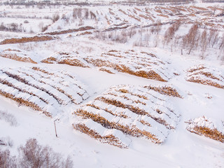 Industrial photo, storage of wooden logs under the snow at a sawmill. Top view