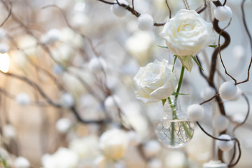 White rose background and backdrop in the decoration cozy branch and warm light.