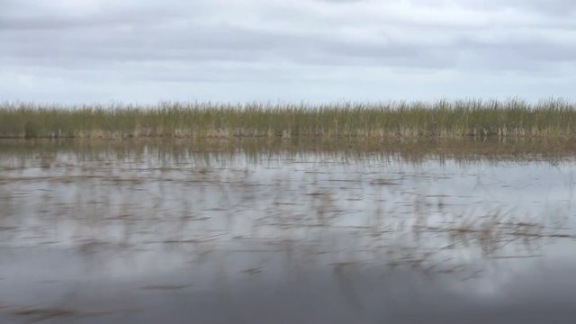 Grass wetlands of the Everglades, Florida, USA
