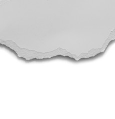 Obraz premium torn paper tears isolated on white background with copy space