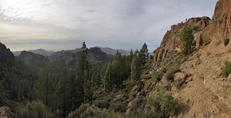 plateau roque nublo
